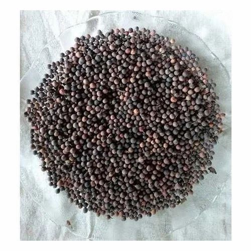 Dry Embelia Ribes