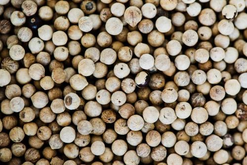 Dry White Pepper Whole