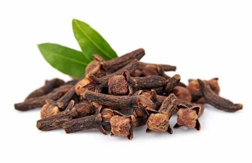 Organic Clove Seeds, Packaging Size: 10 Kg, Packaging Type: PP Bag