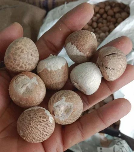 Betel Nut Supari