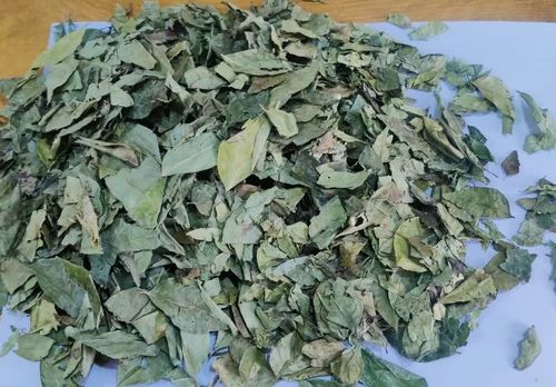 Dry Curry Leaves