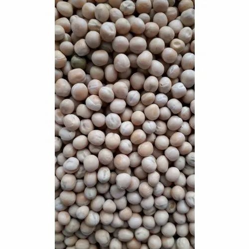 White Dried Peas, High in Protein