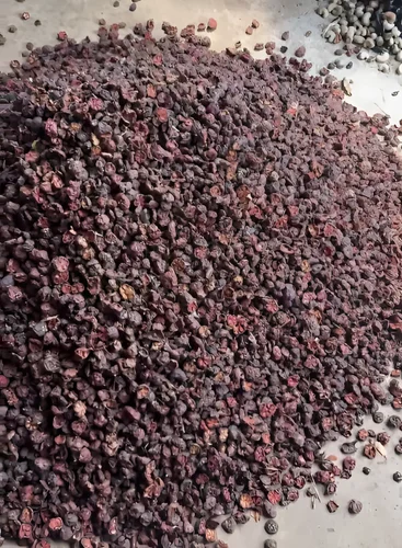 Dry (Sun-Dried) Loose Lonavala Kokum, Premium (A1), Form: Whole