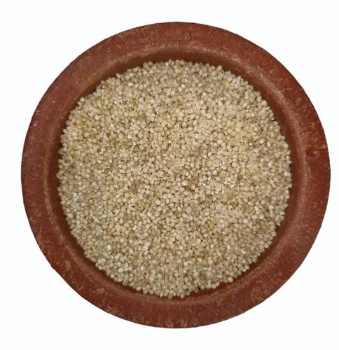 Organic Banyard Millet Whole Grain (Light Brown) - 10 kg PP Bag