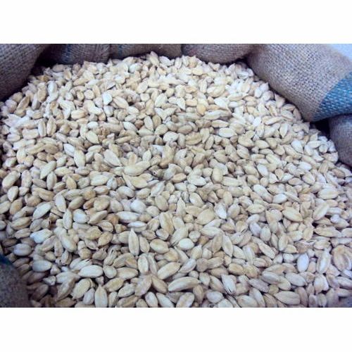 5mm White Cardamom