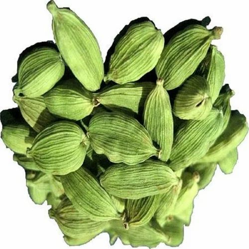 8.5mm Bold Green Cardamom