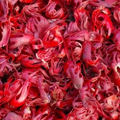 Red Nutmeg Flower