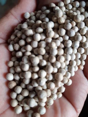 White Pepper (Organic & Bleached), Whole