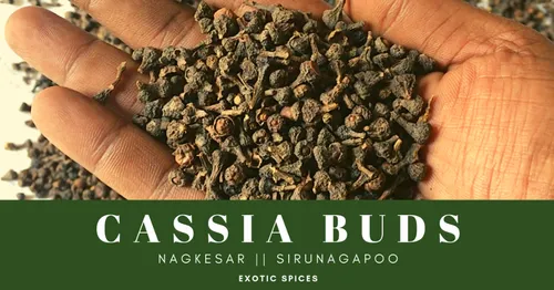 Cassia Buds - Nagkesar - Sirunagappu, Packaging Size: 50 kg
