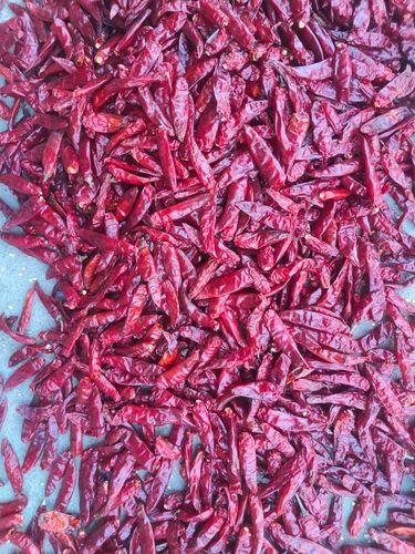 Sannam Stemless Red Chilli