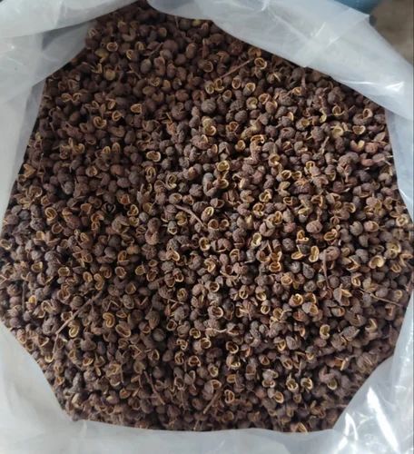 Sichuan Pepper, Seed Presence: With Seed, dark brown