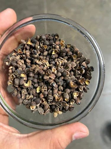 Sichuan Pepper, Black, Seed Presence: Without Seed