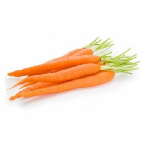 Organic Fresh Carrot