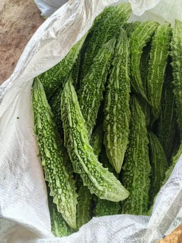 Organic Bitter Gourd