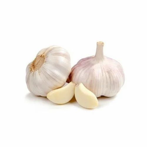 Regular White Fresh Organic Garlic