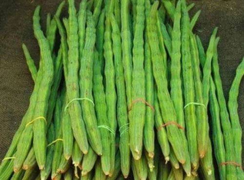 Fresh Organic Drumstick