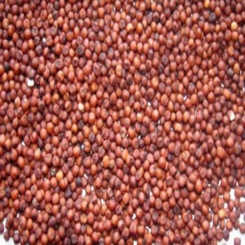 Organic Ragi Millet