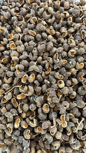 Sichuan Pepper Organic Timur, Black, Seed Presence: With Seed