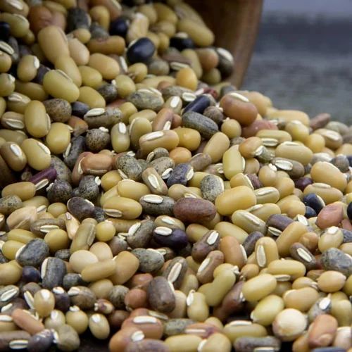 Himalayan Navrangi Dal, Loose