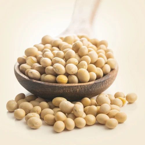 Himalayan Soya Bean