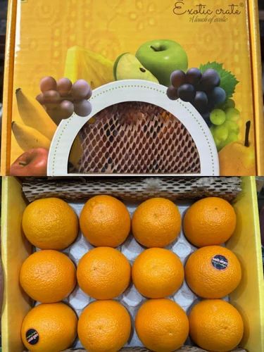 Fresh Malta Orange