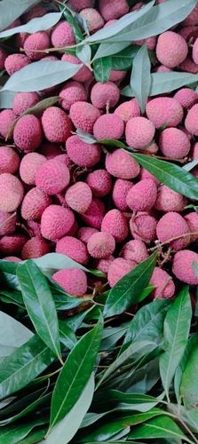 Fresh Indian Litchi