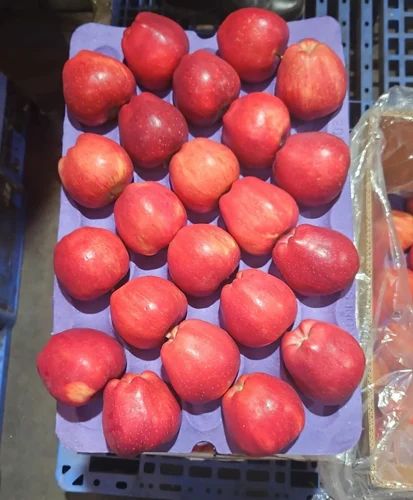 A Grade Turkey Apple, Packaging Size: 18KG, Packaging Type: Carton