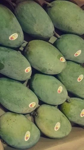 Green A Grade Chausa Mango