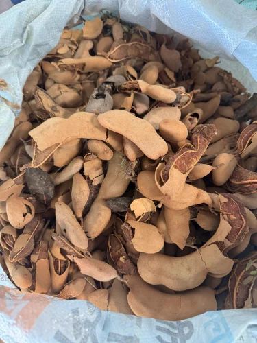 Natural Fresh Tamarind New Crop, Variety / Grade: A Grade, 25 kg
