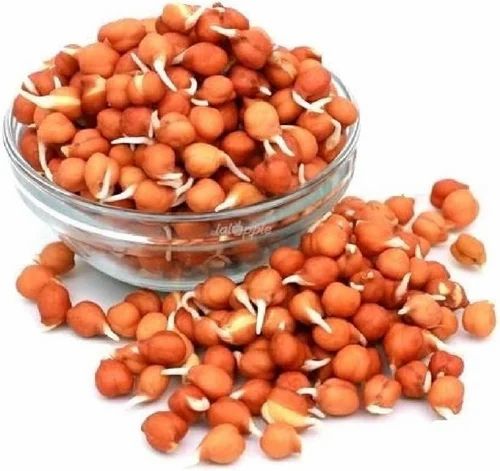 SGV CHANA SPROUT