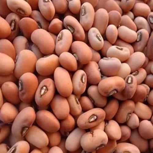 Red Karamani Seed, 100 g