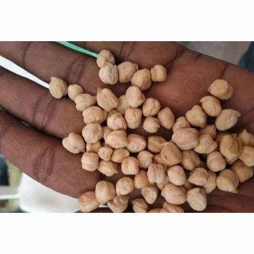 White Kabuli Chana