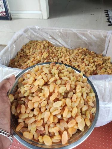 Yellow Dried Grapes, Packaging Type: Plastic Box