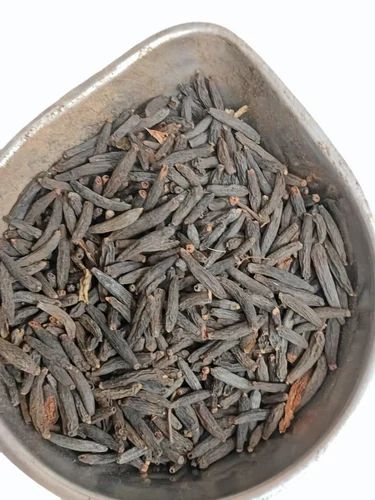 50mm Marathi Moggu