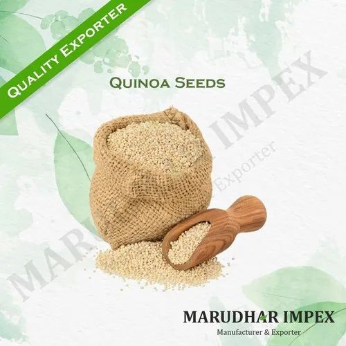 Quinoa Seeds Chenopium Quinoa
