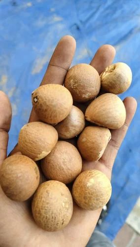 Sun Dried Whole Rashi Betel Nut Supari