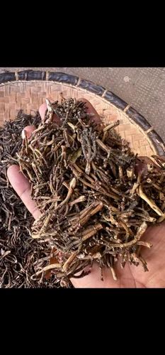 Clove Stem