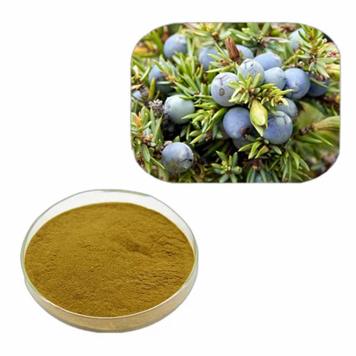 Juniper Berry Extract