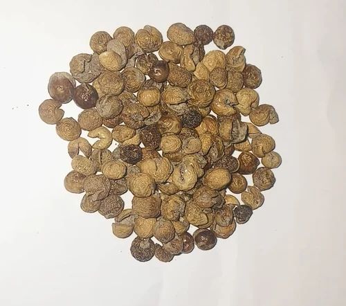 Sun dried Turkey Berry (Sundaakai vathal), Packaging Size: 1 kg