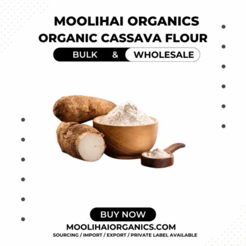 Organic Cassava Flour / Manihot esculenta - Bulk / Wholesale, 25 kg