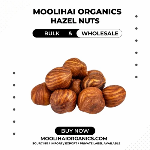 Raw Hazelnuts Hazel Nuts (No Shell)