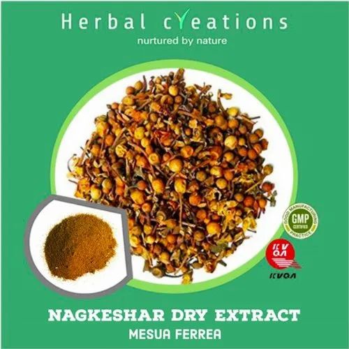 Powder Nagkesar Dry Extract Mesua Ferrea, Packaging Type: HDPE Drum