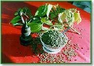 Green Peppercorn