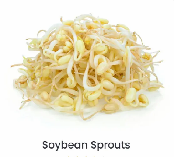 Soyabean Sprouts