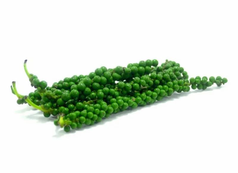 Green Pepper Corn