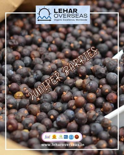 Dried Juniper Berry