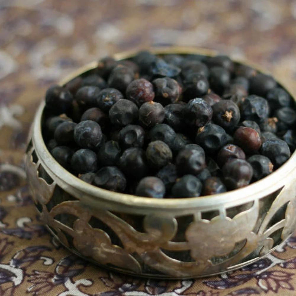 Juniper Berry Extract