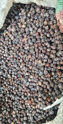 Dried Juniper Berries Seeds