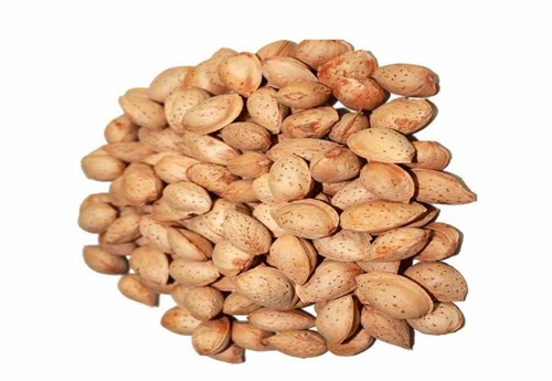Whole Kagji Badam - Kagzi Almond - Almonds With Shell - Prunus Dulcis