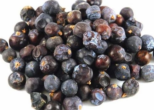 Hauber - Juniperus communis Linn Dried - Juniper Berry, Whole